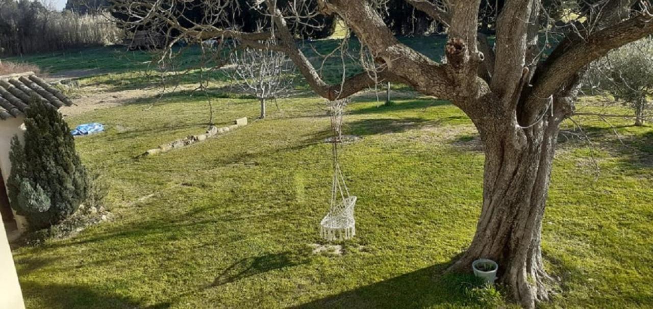 Willa Le Petit Mas En Provence Avec Piscine Barbentane Zewnętrze zdjęcie